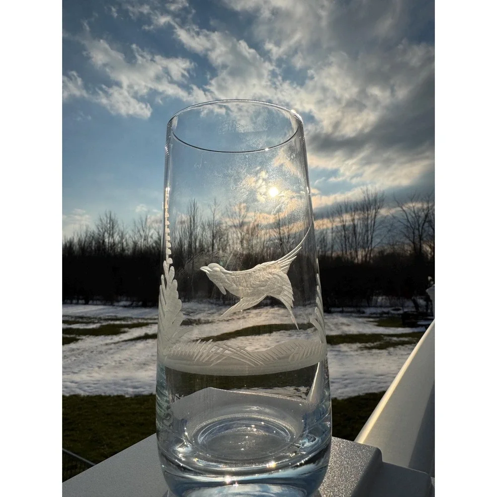 VTG E&AB Kristallglas Germany Wildlife Crystal Highball Set 6 Etched EUC RARE!